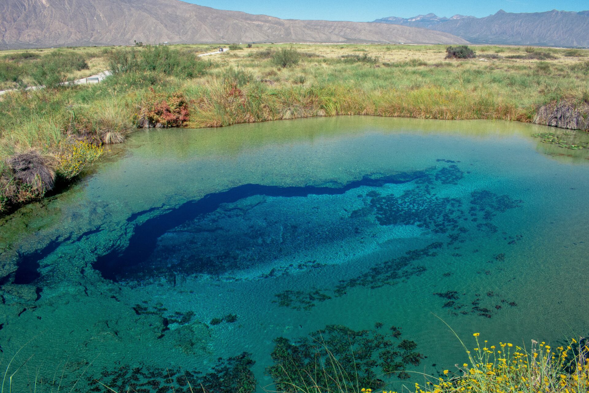 Entdecken Sie das leuchtend türkisfarbene Wasser von Poza Azul, einer natürlichen Oase in Coahuila, Mexiko.